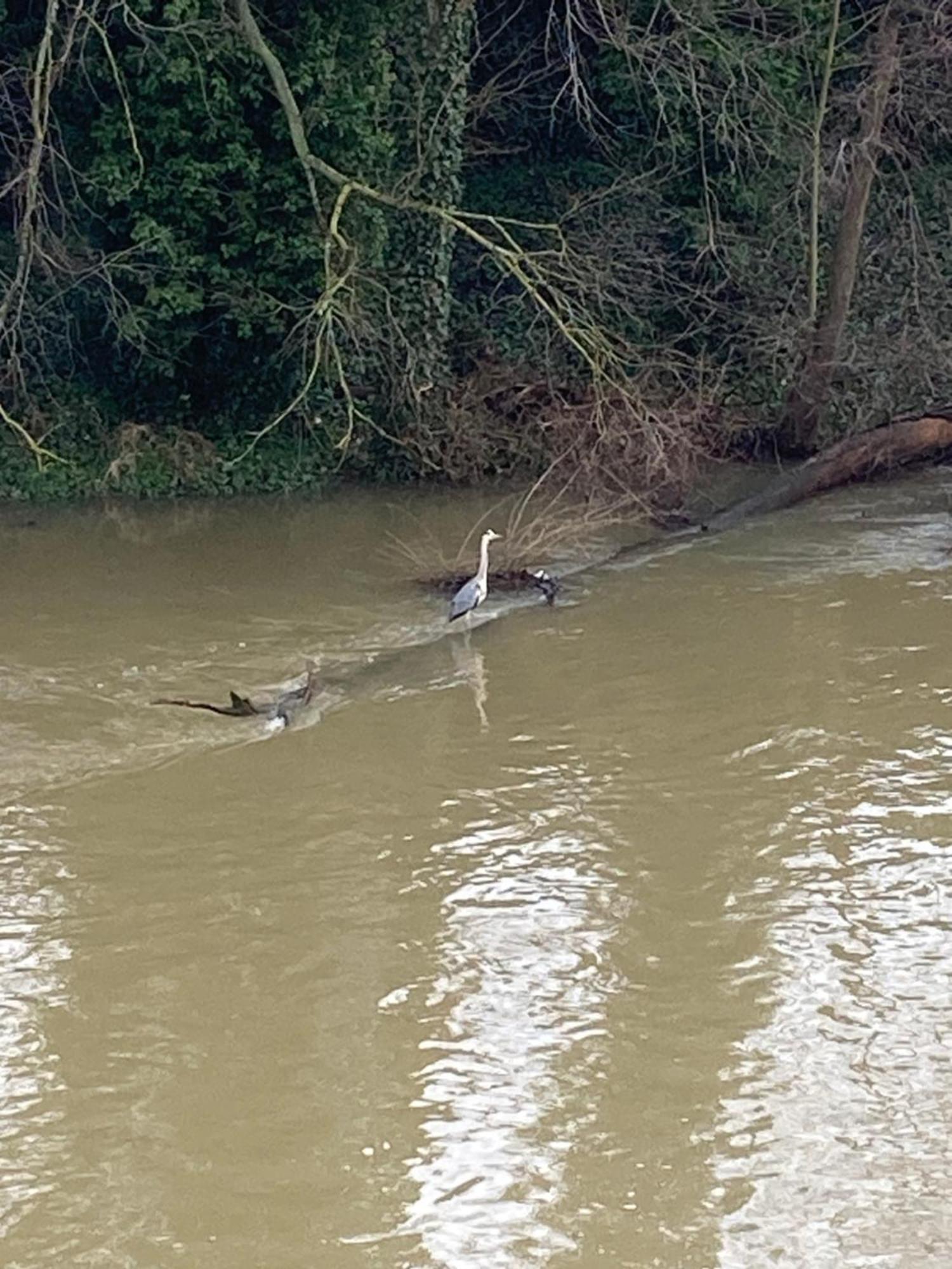 Ferienwohnung Villa Am Fluss Lauf an der Pegnitz Buitenkant foto